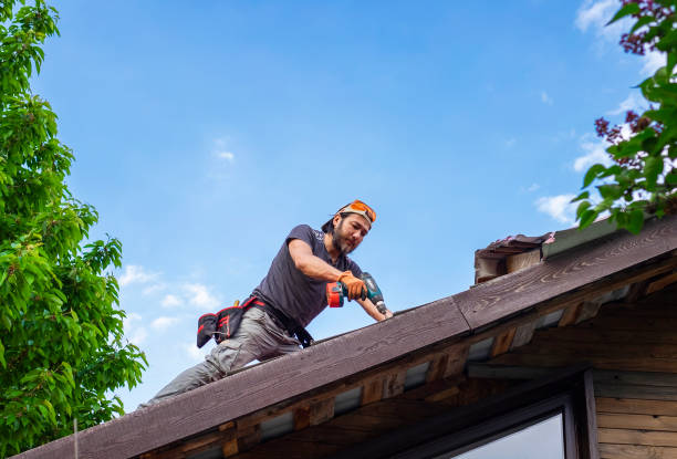 Best Roof Insulation Installation  in Duquesne, PA